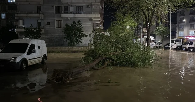 Şanlıurfa da sağanak, fırtına ve dolu hayatı olumsuz etkiledi Şanlıurfa Haberleri