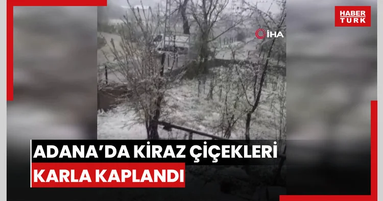 Adana’da kiraz çiçekleri karla kaplandı