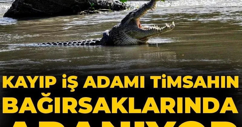 Kayıp iş adamı timsahın bağırsaklarında aranıyor