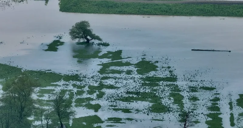 Düzce de dereler taştı: Tabiat parkına girişler yasaklandı!