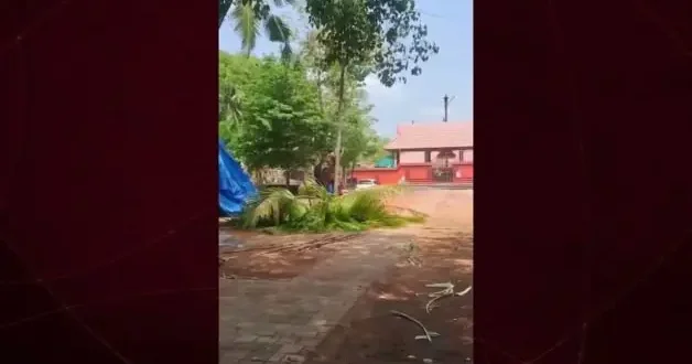 Fil otomobili yerden yere vurdu: Sürücüsünü ezip başında bekledi!