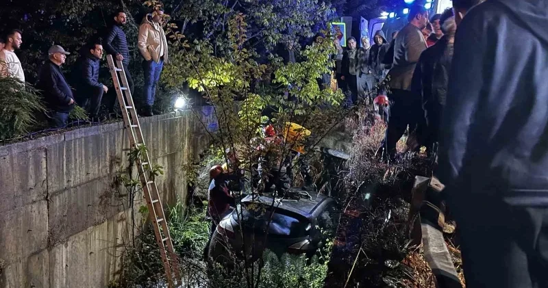 Kontrolden çıkan otomobil dereye uçtu Sakarya Haberleri