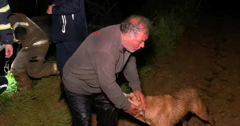 Dere taştı, çiftlik sahibi son anda kurtarıldı: Her şeyim gitti