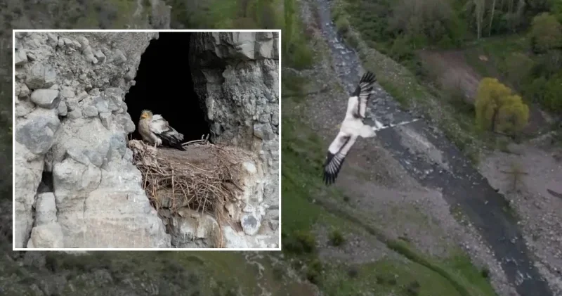 Gökyüzünde süzülürken dronla görüntüledi Aktüel Haberleri