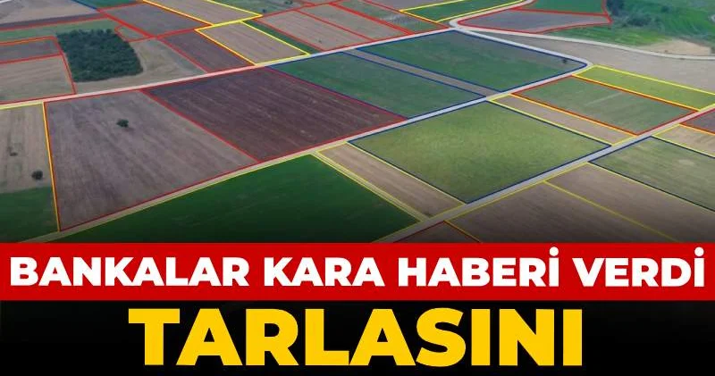 Bankalar kara haberi verdi: Tarlasını satan satana