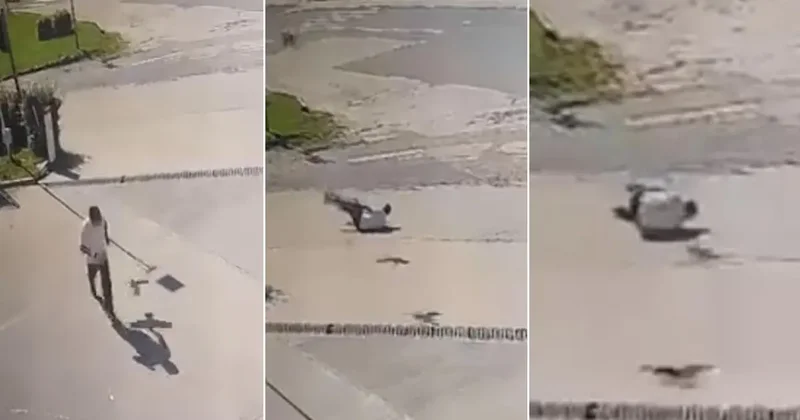 Kargadan kaçarken taklalar attı, o anlar kamerada