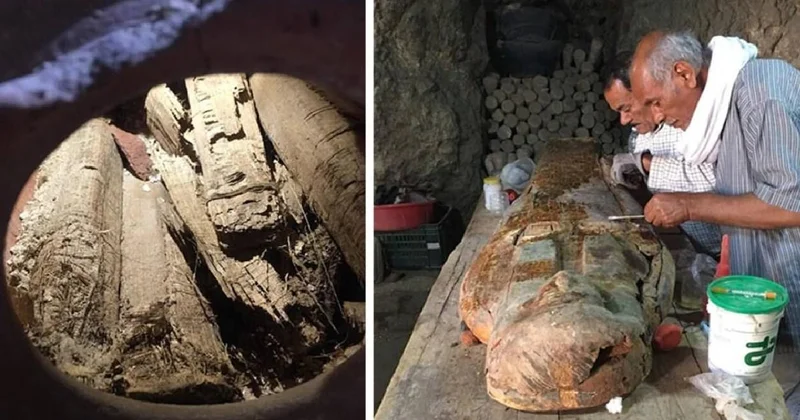 Mısır da 3000 yıl önce mühürlenmiş halde bulundular Sözcü Gazetesi