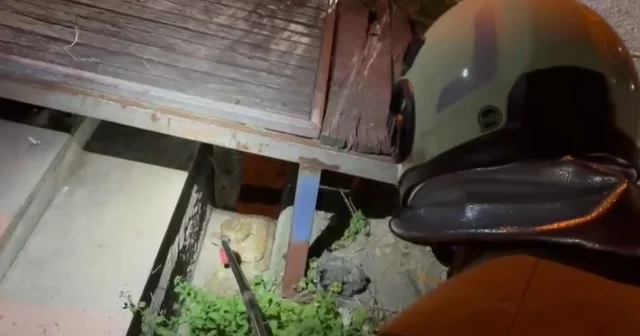 Hatay da evin bahçesine giren yılan, doğaya salındı Hatay Haberleri