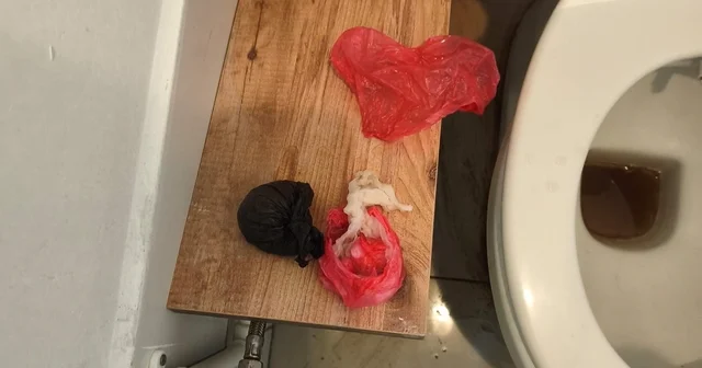 Polisi fark edince uyuşturucuları klozete döktü, sifon çalışmayınca yakalandı Sakarya Haberleri