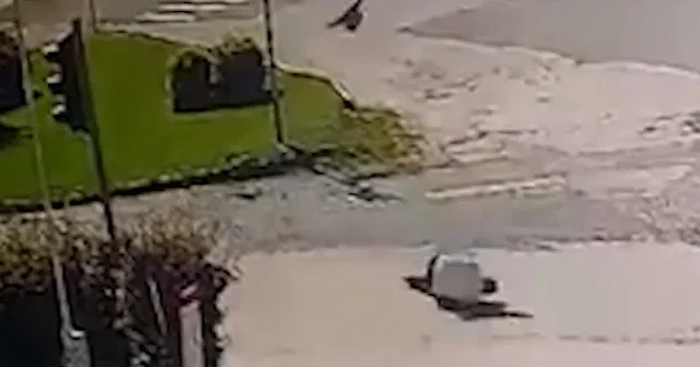 Elazığ’da karganın saldırdığı vatandaşın zor anları kamerada VİDEO İZLE