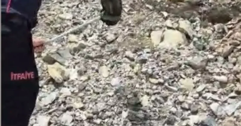 Yatak ve halıların arasına saklanan yılanı itfaiye buldu