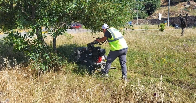 Bodrum da ot temizliği çalışmaları tüm hızıyla devam ediyor Muğla Haberleri