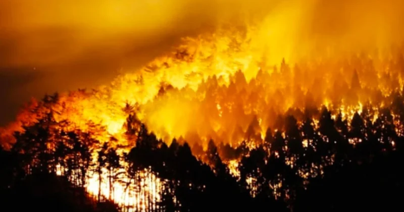 Türkiye ye El nino geliyor: Büyük yangınlar kapıda Sözcü Gazetesi