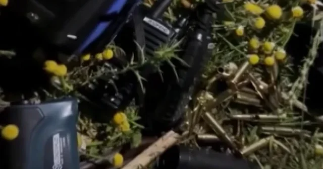 Silifke de yaban keçisi vuran kaçak avcılar suçüstü yakalandı VİDEO İZLE