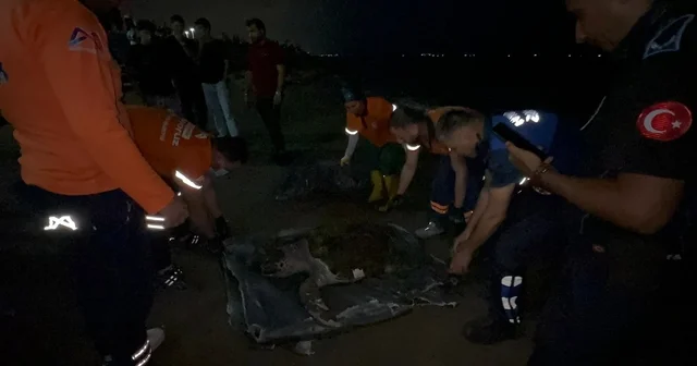 Mersin de sahile ölü caretta caretta vurdu Mersin Haberleri