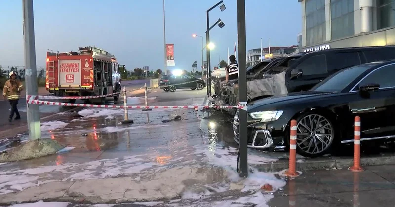 50 milyon liralık 4 otomobil kül oldu