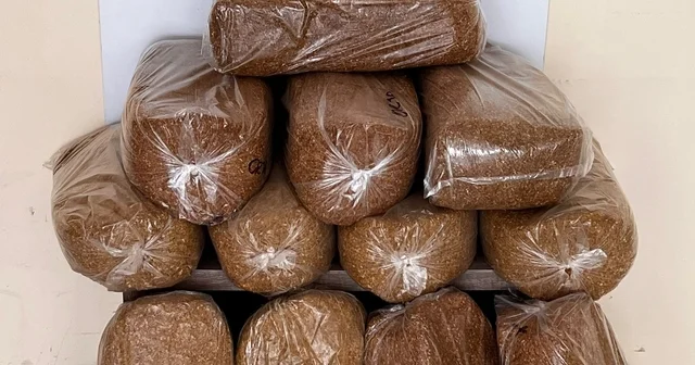 Bafra da 60 kilo kaçak tütün ele geçirildi Samsun Haberleri