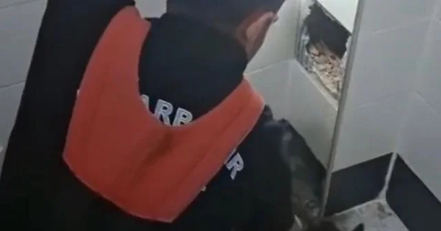 İtfaiye erleri havalandırma boşluğunda kalan kedi için seferber oldu Diyarbakır Haberleri