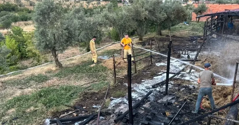 Bilecik’te bir ahır çıkan yangında kül oldu