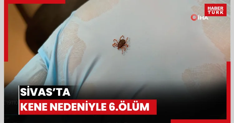 Sivas’ta kene nedeniyle 6.ölüm