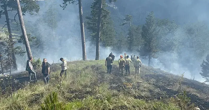 Kastamonu da orman yangını