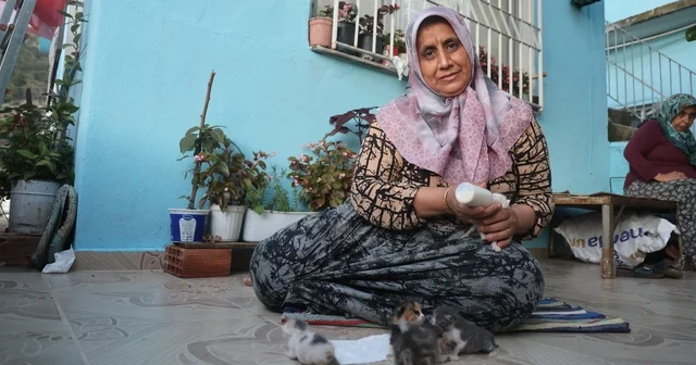 Anneleri telef olan yavru kedileri merhametiyle büyüten kadın, hayvanları biberonla besliyor Hatay Haberleri Habertürk Yerel Haberler