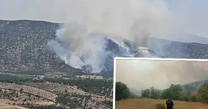 Malatya da orman yangını! Ekipler müdahale ediyor