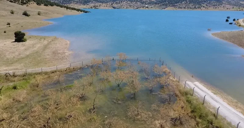 Yozgat’ta badem ağaçları sular altında kaldı