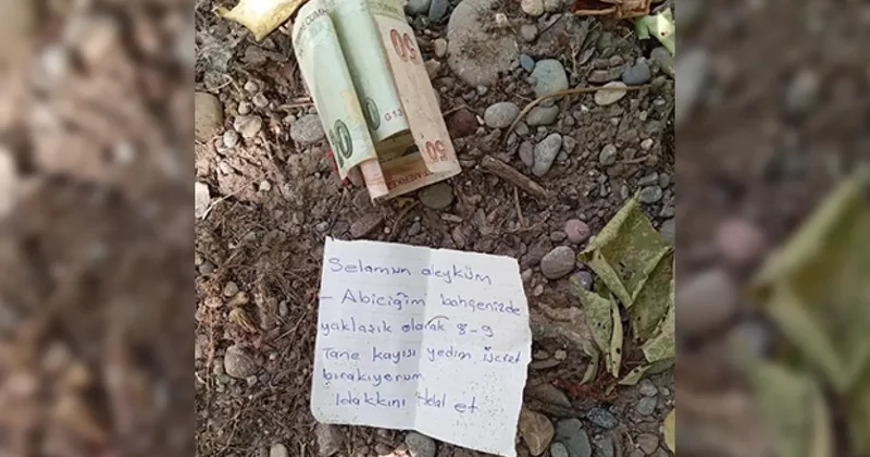 Bahçeden kayısı yiyen adamın yazdığı not duygulandırdı!