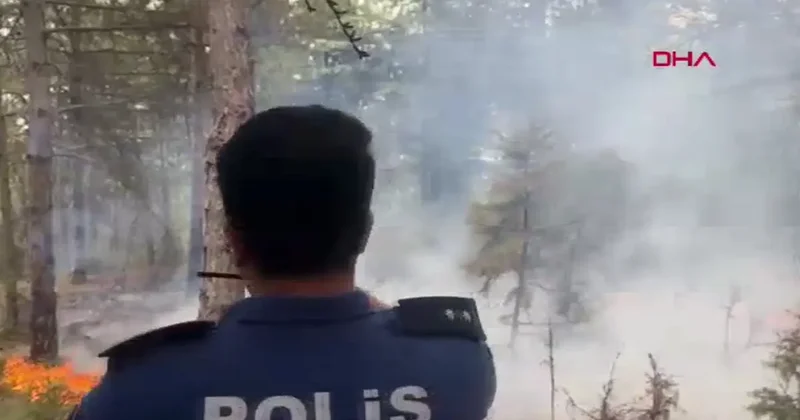 Kütahya da orman yangını! Kısa sürede yayıldı