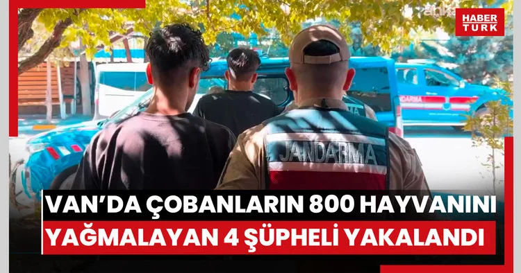 Van da çobanları tehdit ederek 800 hayvanı yağmalayan 4 şüpheli yakalandı