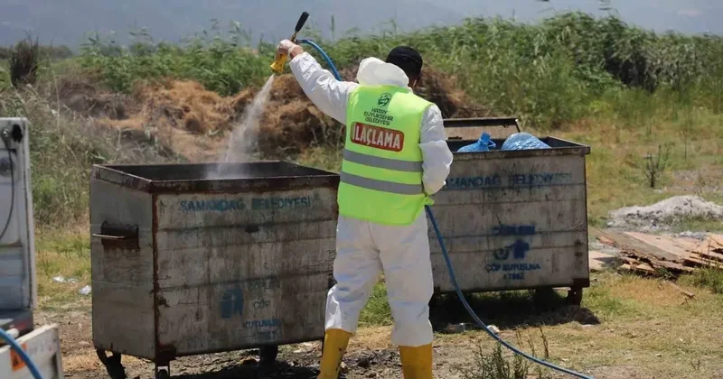 Hatay Büyükşehir Belediyesi il genelinde ilaçlama çalışmalarına aralıksız devam ediyor