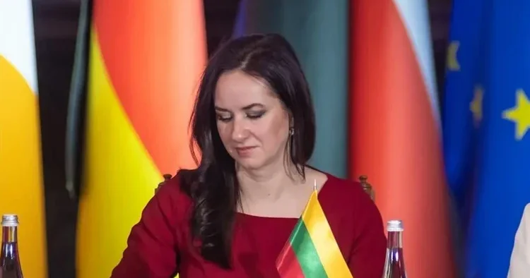 Litvanya dan Türkiye ye övgü: Takdirle karşılıyoruz