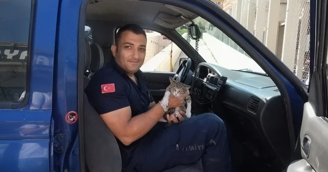Otomobilin motor bölümünde sıkışan yavru kedi kurtarıldı Amasya Haberleri Habertürk Yerel Haberler