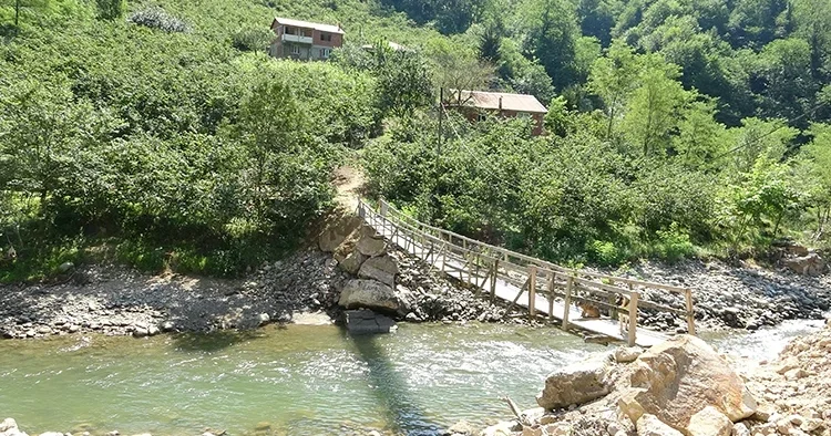 Giresun da çürüyen asma köprüde tehlikeli geçiş: Her an dereye düşme korkusu yaşıyorlar