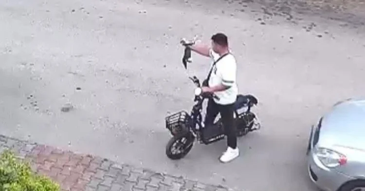 Yavru kediyi öpüp boğmuştu, gözaltına alındı