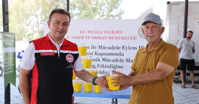 Turunçgil üreticilerine 8 bin Akdeniz Meyve Sineği tuzağı dağıtıldı Muğla Haberleri Habertürk Yerel Haberler