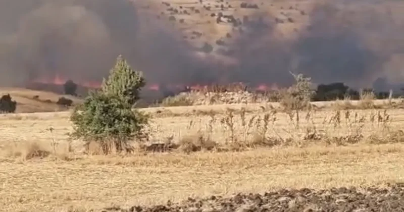 Seyitgazi’de tarım arazisinde yangın çıktı