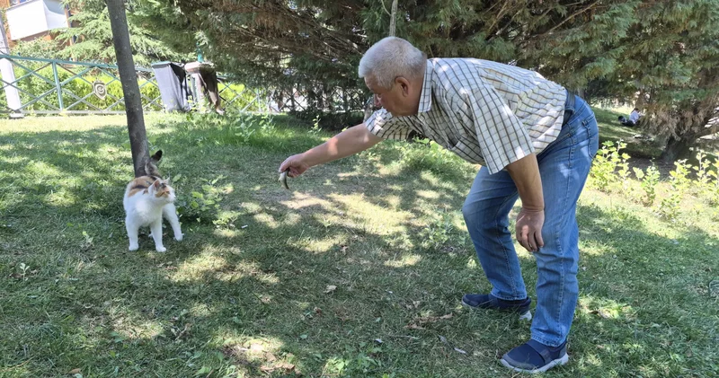 Akıllı sokak kedisi balık tutan adamın başından ayrılmadı