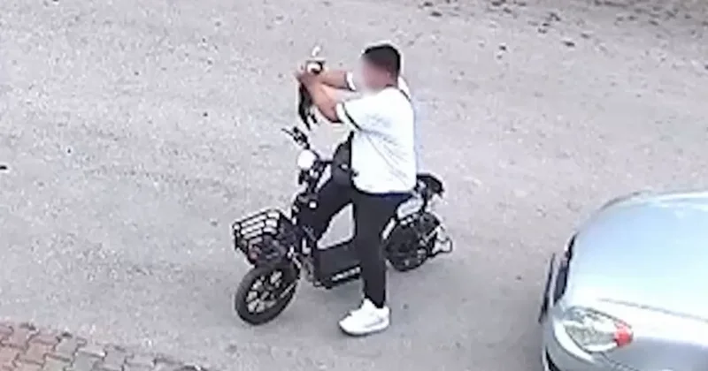 Bolu da vahşet! Yavru kediyi önce öptü sonra boğdu