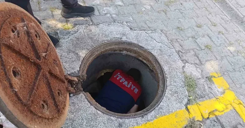 Kanalizasyon borusuna sıkışan yavru kedi kurtarıldı
