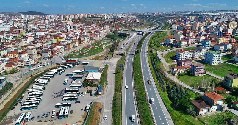Hollandalılar Marmara nın 300 binlik ilçesine akın ettiler: 500 ton satın alacaklar Sözcü Gazetesi