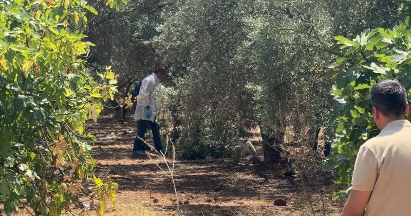 Elleri arkadan bağlı olarak ölü bulundu! Son dakika haberleri