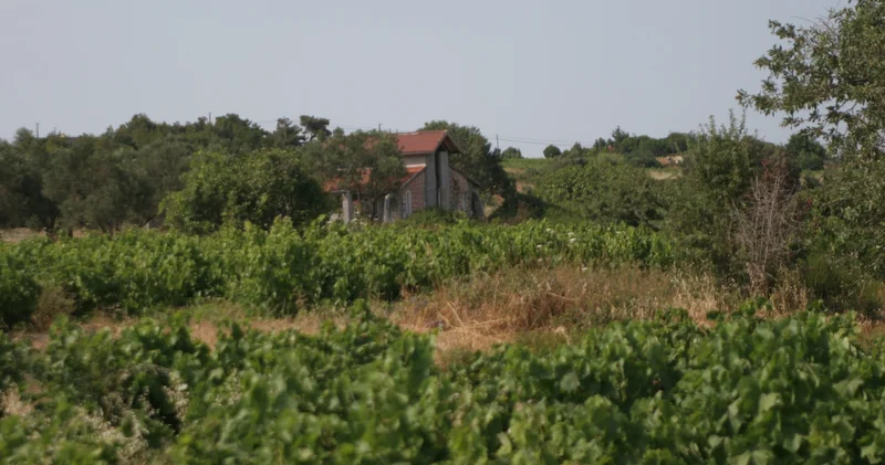 Bağ evleri için büyüklük şartı düşürüldü: Karar Resmi Gazete de yayımlandı