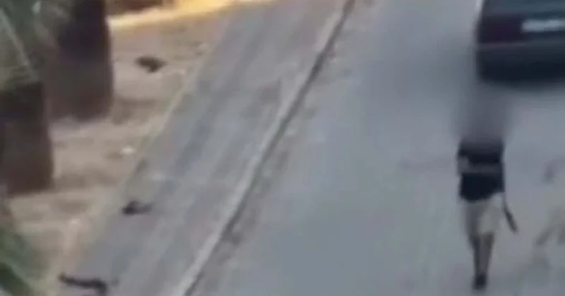 İzmir Buca da psikolojik sorunlu kişi pompalı tüfekle rastgele ateş açtı