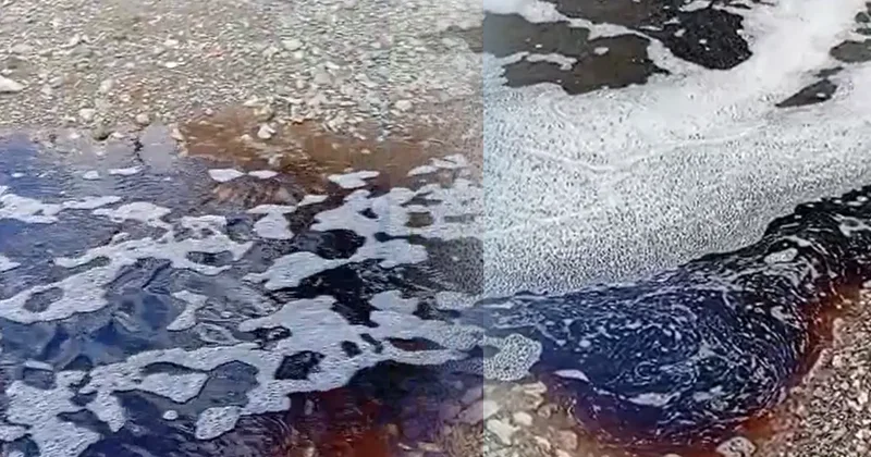 Yalova da korkutan görüntü: Denizin rengi kırmızıya döndü