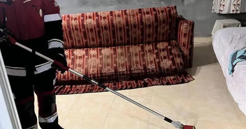 Samandağ’da yerleşim yerinde görülen yılan yakalanarak doğaya bırakıldı