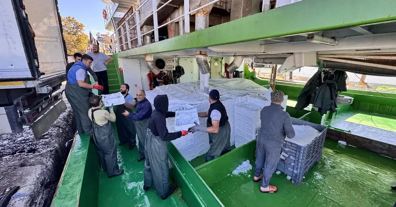 Karadeniz e açılan balıkçılar, Akçakoca Limanı na bol palamutla döndü