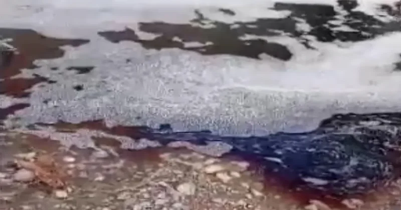Marmara Denizi nde kırmızı alarm! Deniz yüzeyi bir anda renk değiştirdi