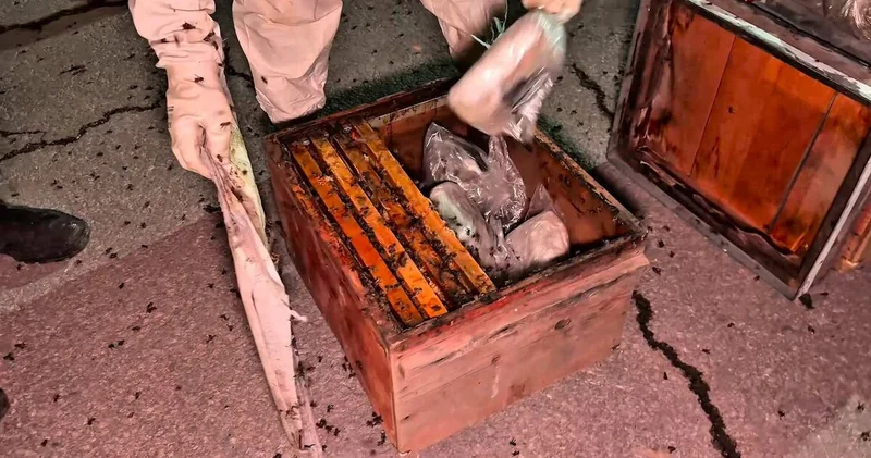 Son dakika haberler: Hakkari de peteklerin arasına gizlenmiş 91,1 kilogram uyuşturucu ele geçirildi